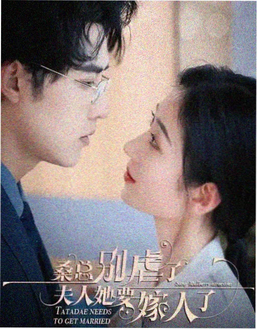 纪实影像支线的片单分类图鉴封面